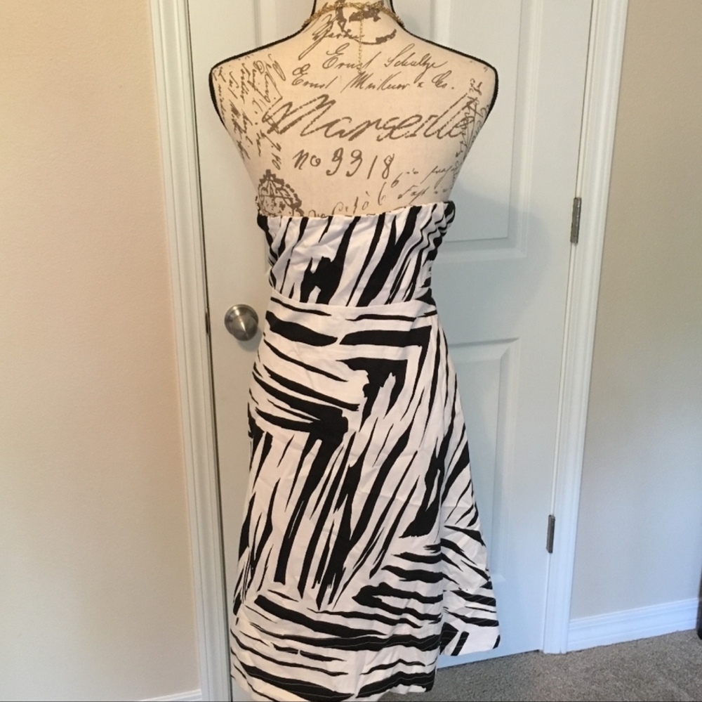 The Limited Zebra Print Dress - Picture 4 of 6